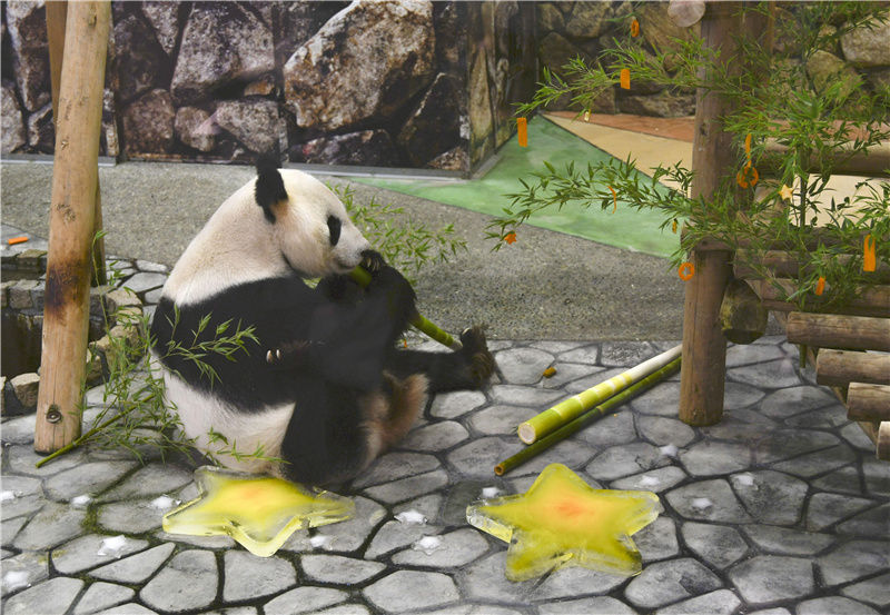 ICPhoto(qun)ƷՈ(qng)D(zhun)d