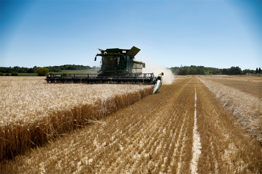 ICPhoto(qun)ƷՈ(qng)D(zhun)d