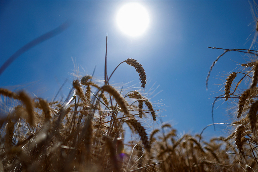 ICPhoto(qun)ƷՈD(zhun)d