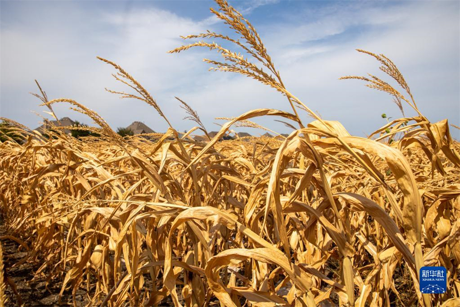 @721ÿ_˹ݰĔzĿSÿ_˹ݶظߜm(x)l(f)}Ҳ(do)²ֵ؅^(q)(yng)oAl(f)z