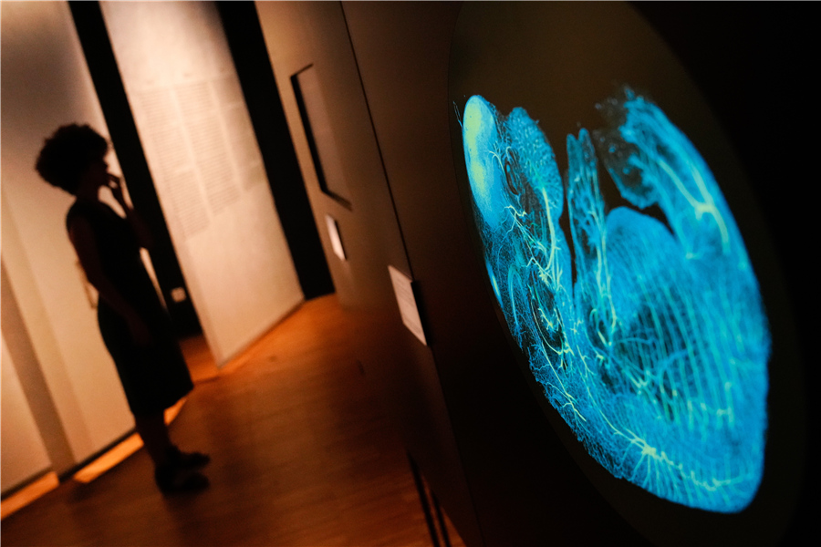 ICphoto(qun)ƷՈ(qng)D(zhun)d