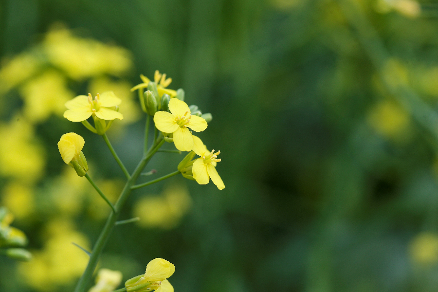 ICphoto(qun)ƷՈD(zhun)d