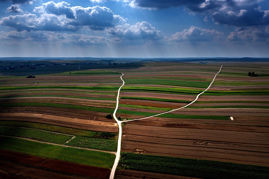 IC photo(qun)ƷՈD(zhun)d