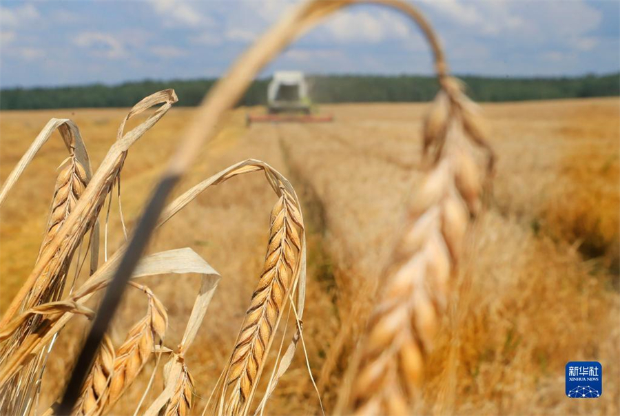 @84ڰ׶_˹˹ĔzĴ?zhn)ո׶_˹_ʼeոZʳ׶_˹r(nng)I(y)cʳƷA(y)ӋZʳa(chn)^ȥAl(f)οƷz