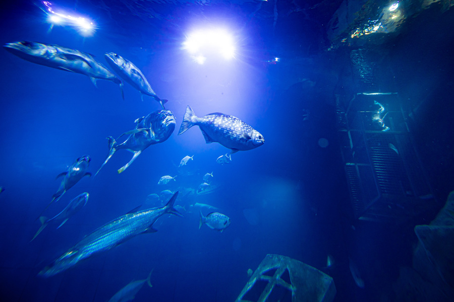 ҕXЇ(qun)ƷՈD(zhun)d