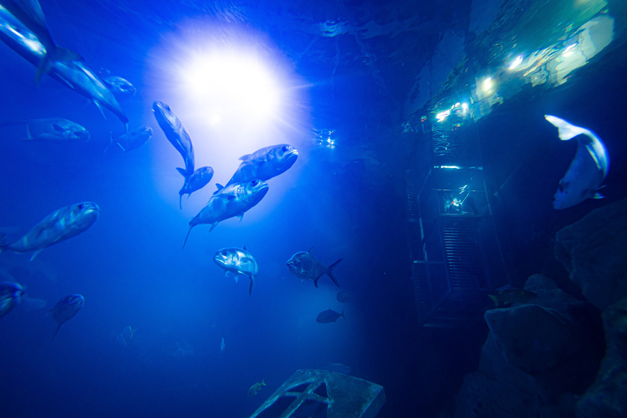 ҕX(ju)Ї(gu)(qun)ƷՈ(qng)D(zhun)d