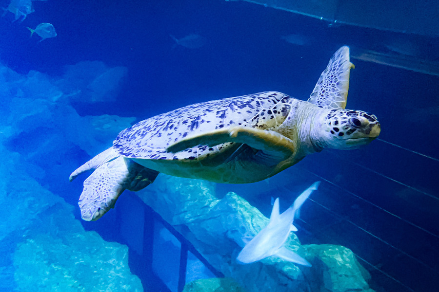 ҕXЇ(qun)ƷՈD(zhun)d