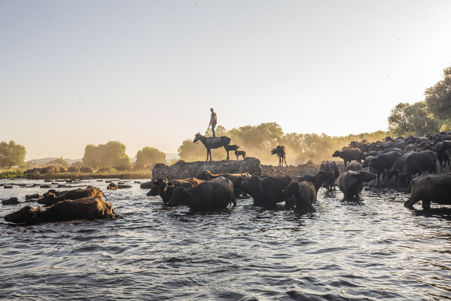 ICPhoto(qun)ƷՈ(qng)D(zhun)d