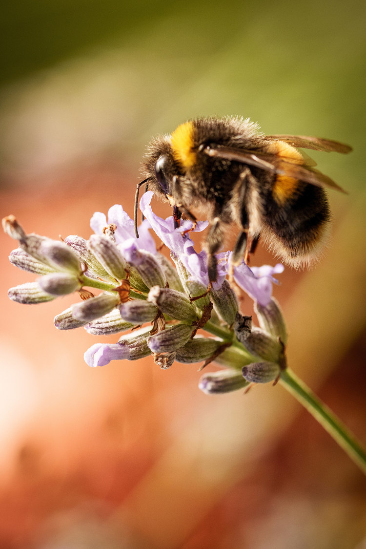 ҕXЇ(gu)(qun)ƷՈ(qng)D(zhun)d