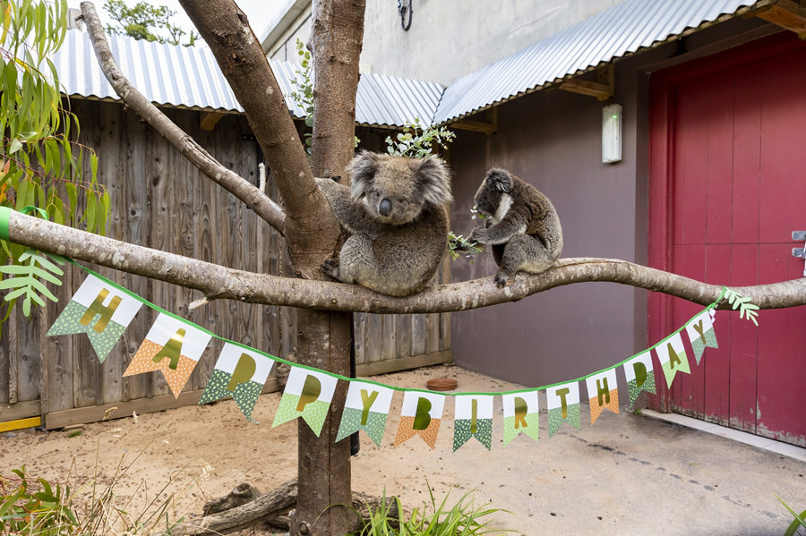 ICPhoto(qun)ƷՈ(qng)D(zhun)d