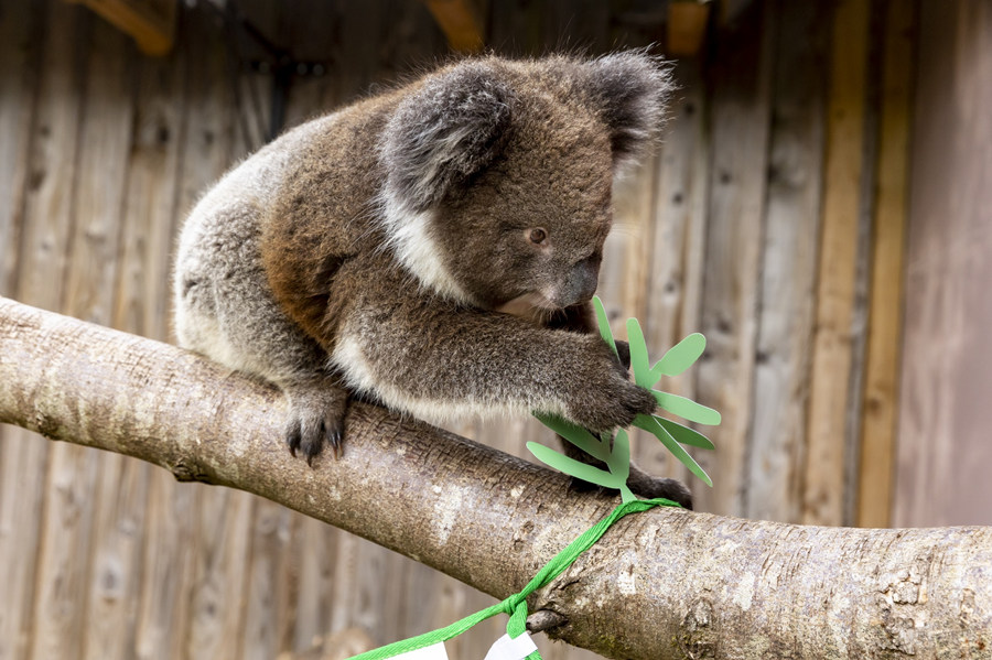 ICPhotoƷՈD(zhun)d