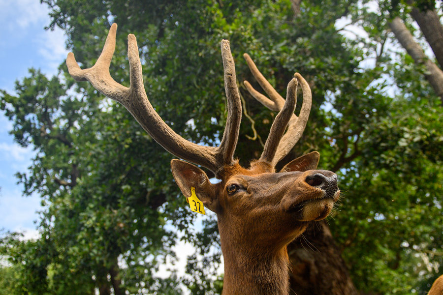 ICPhoto(qun)ƷՈD(zhun)d