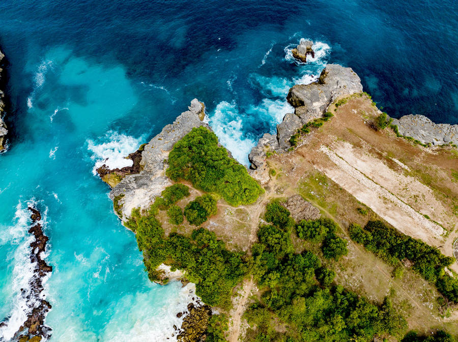 ICPhotoƷՈDd