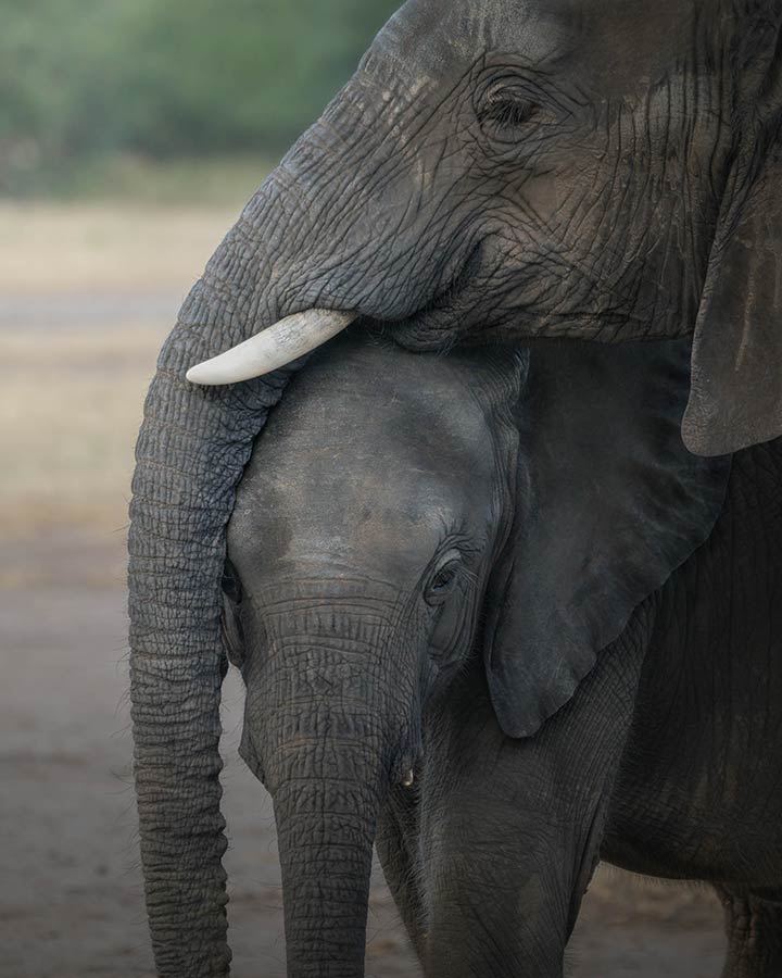 ICPhoto(qun)ƷՈD(zhun)d