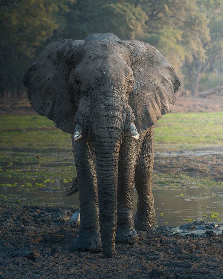 ICPhoto(qun)ƷՈ(qng)D(zhun)d