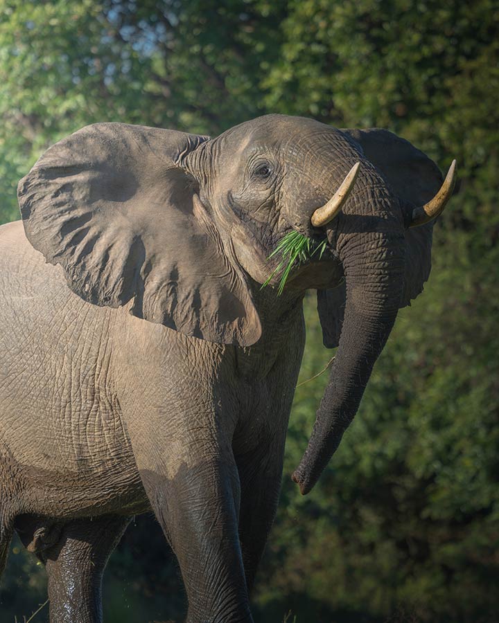 ICPhoto(qun)ƷՈD(zhun)d