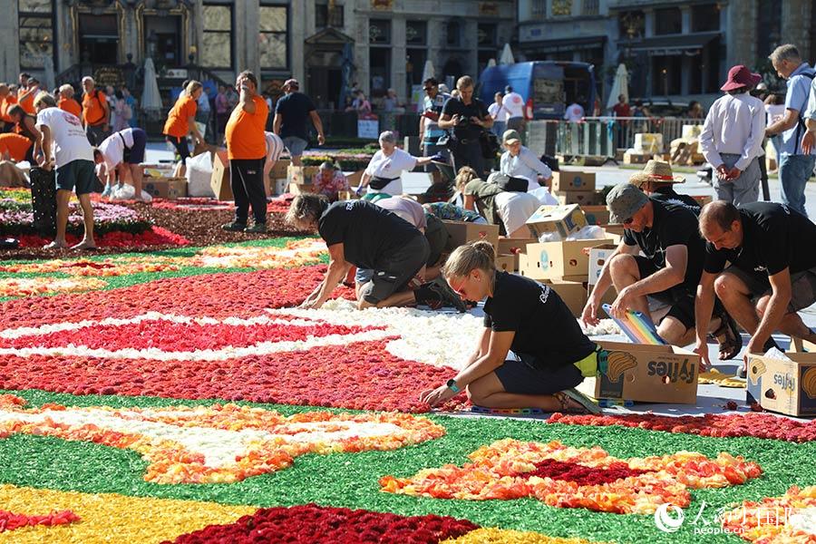 D鲼V(chng)br̺ȫW(wng)ӛ xz