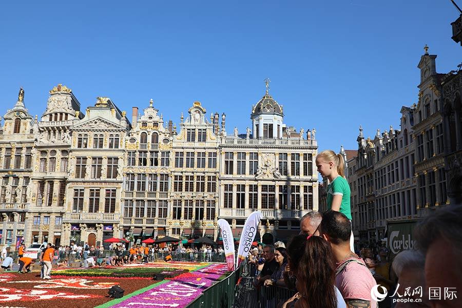 D鲼Vbr̺ȫW(wng)ӛ xz