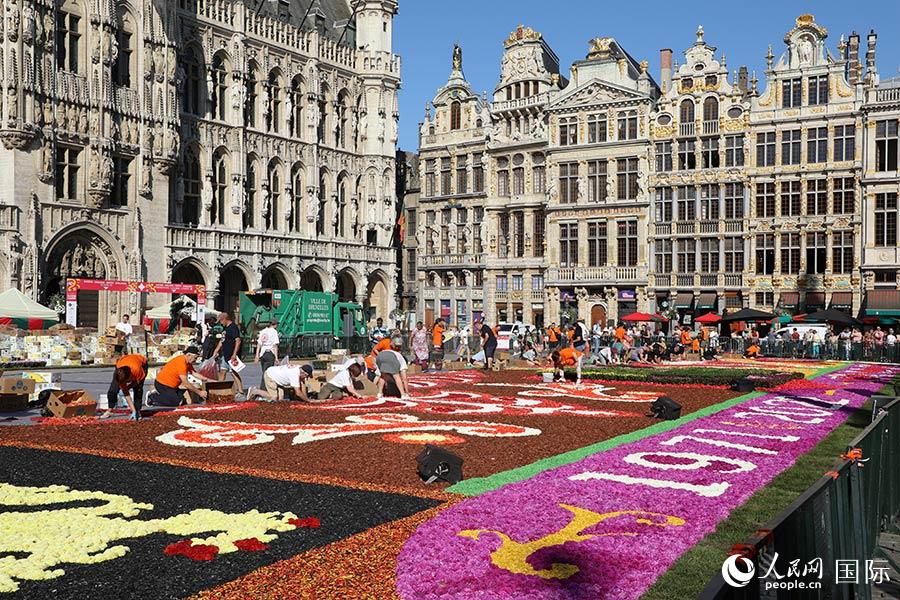 D鲼V(chng)br̺ȫW(wng)ӛ xz