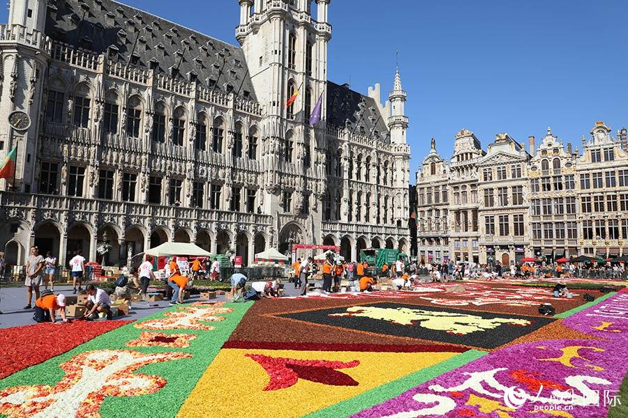 D鲼Vbr̺ȫWӛ xz