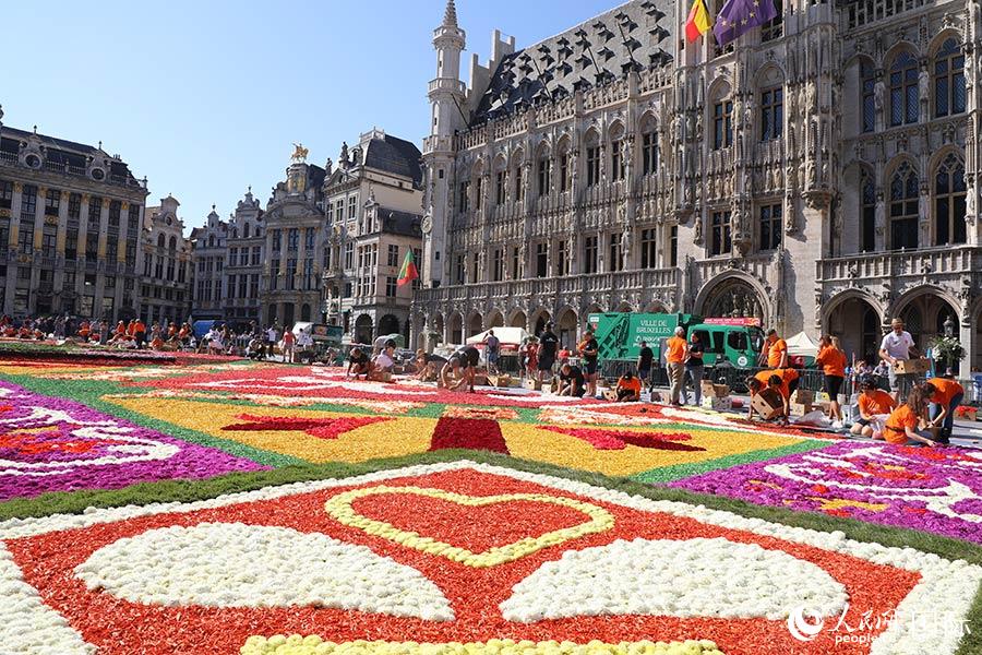 D鲼V(chng)br̺ȫW(wng)ӛ xz