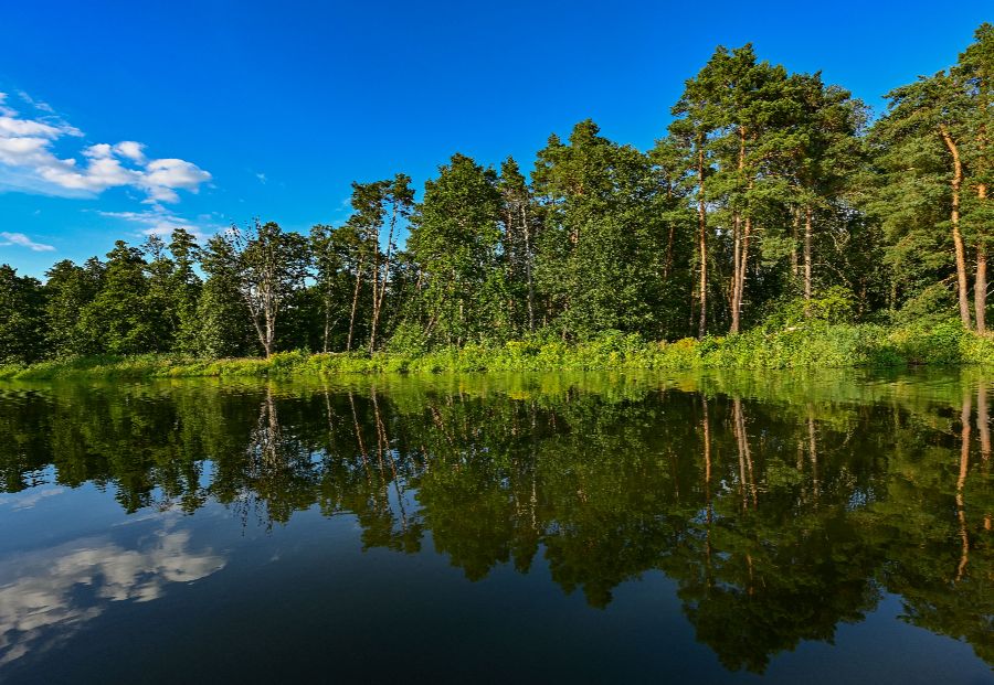 ICPhoto(qun)ƷՈ(qng)D(zhun)d