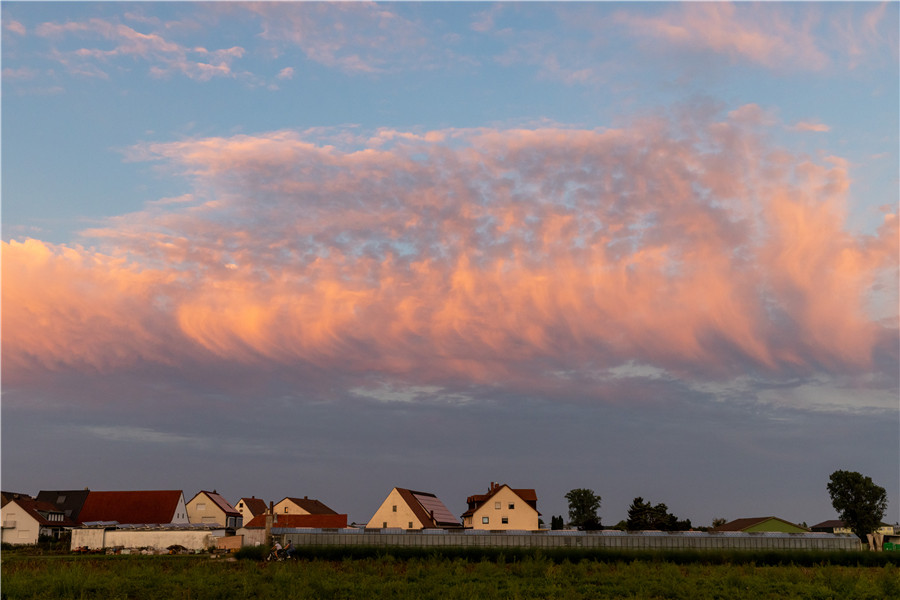 IC PhotoƷՈDd