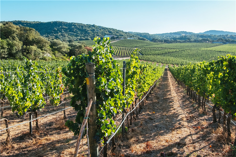 IC Photo(qun)ƷՈ(qng)D(zhun)d