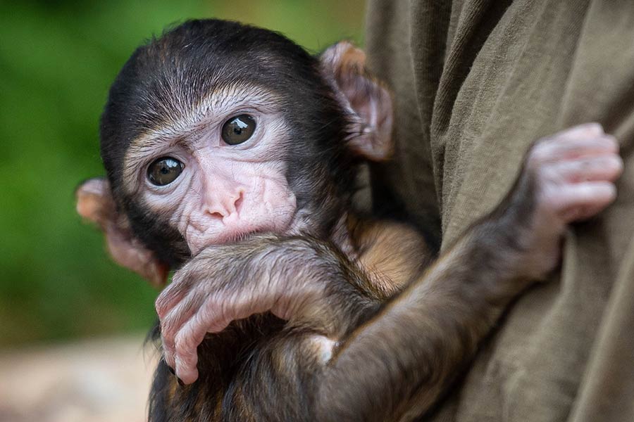 IC Photo(qun)ƷՈ(qng)D(zhun)d