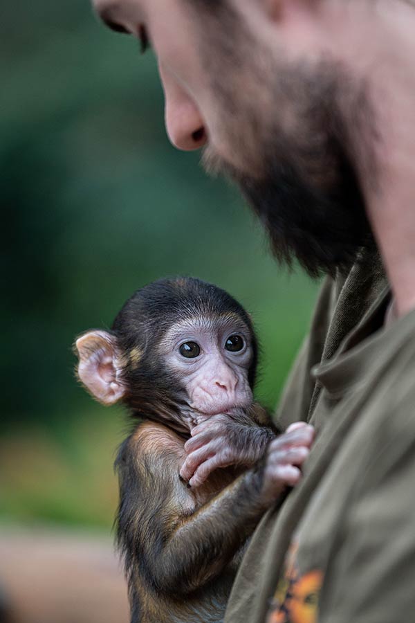 IC Photo(qun)ƷՈ(qng)D(zhun)d