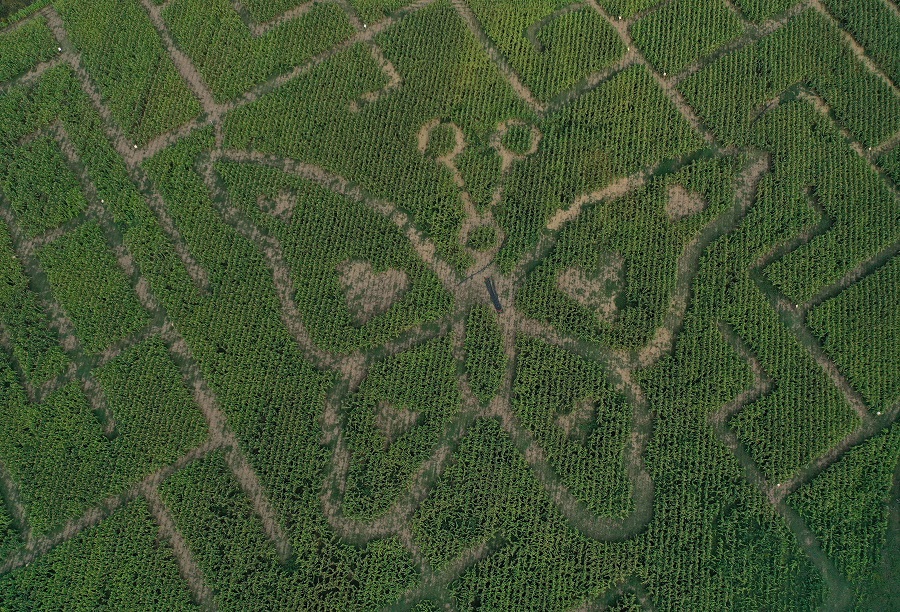 IC Photo(qun)ƷՈ(qng)D(zhun)d