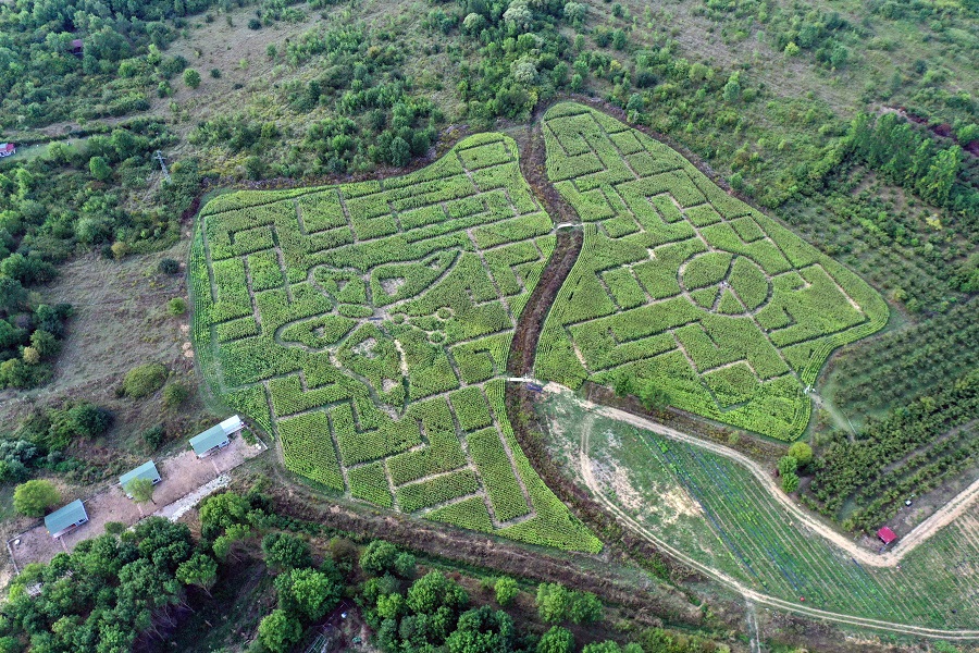 IC Photo(qun)ƷՈD(zhun)d