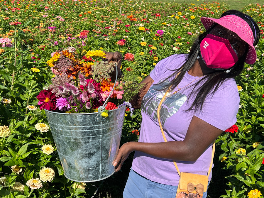 ICphoto(qun)ƷՈD(zhun)d