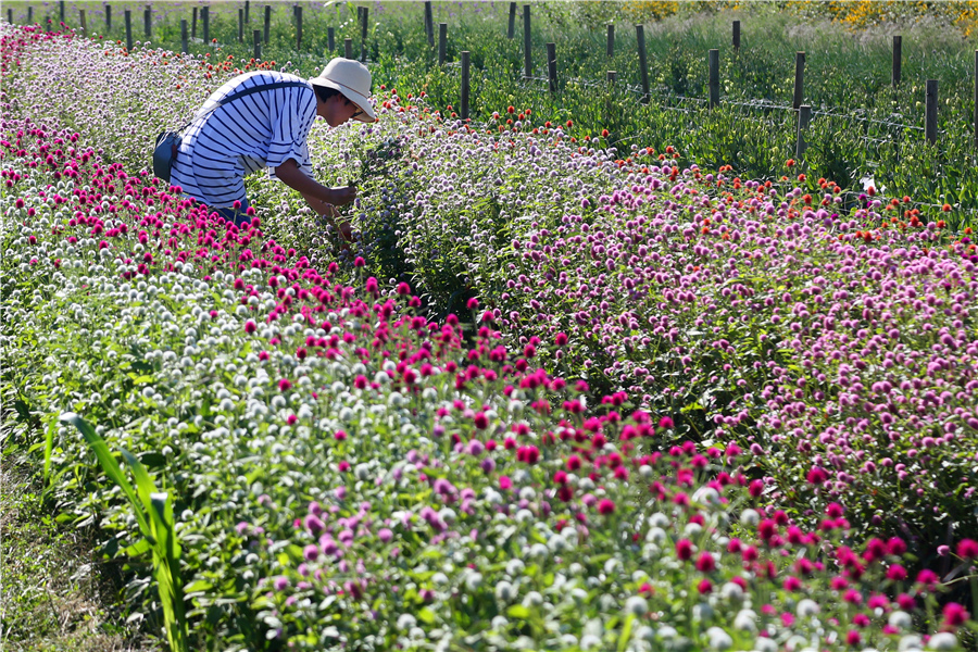 ICphoto(qun)ƷՈD(zhun)d