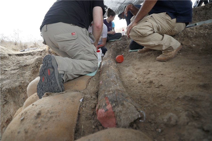 ICphoto(qun)ƷՈD(zhun)d