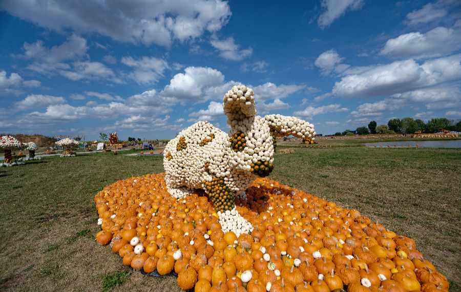 ICphoto(qun)ƷՈ(qng)D(zhun)d