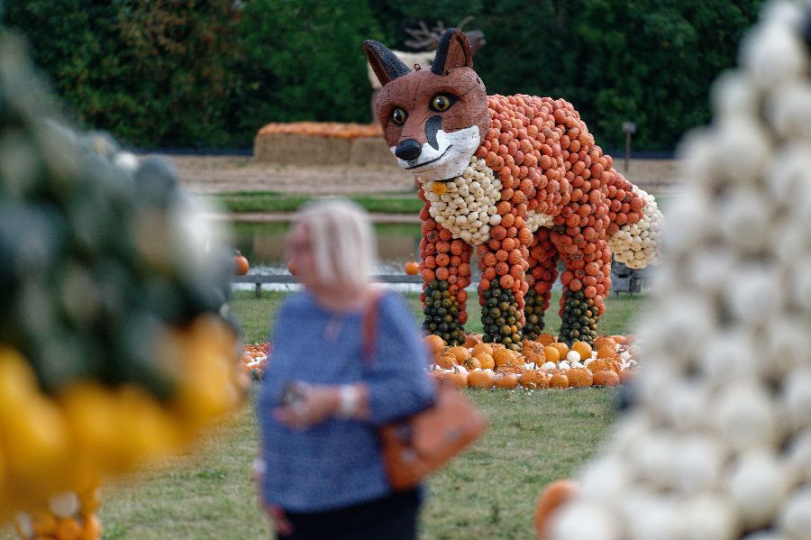 ICphoto(qun)ƷՈD(zhun)d