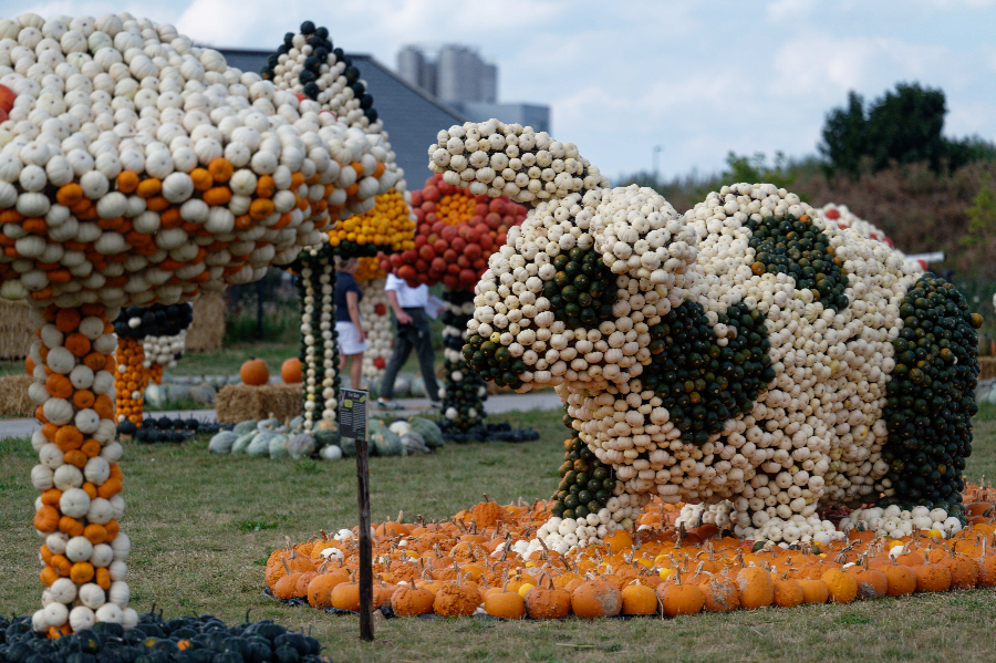 ICphoto(qun)ƷՈD(zhun)d