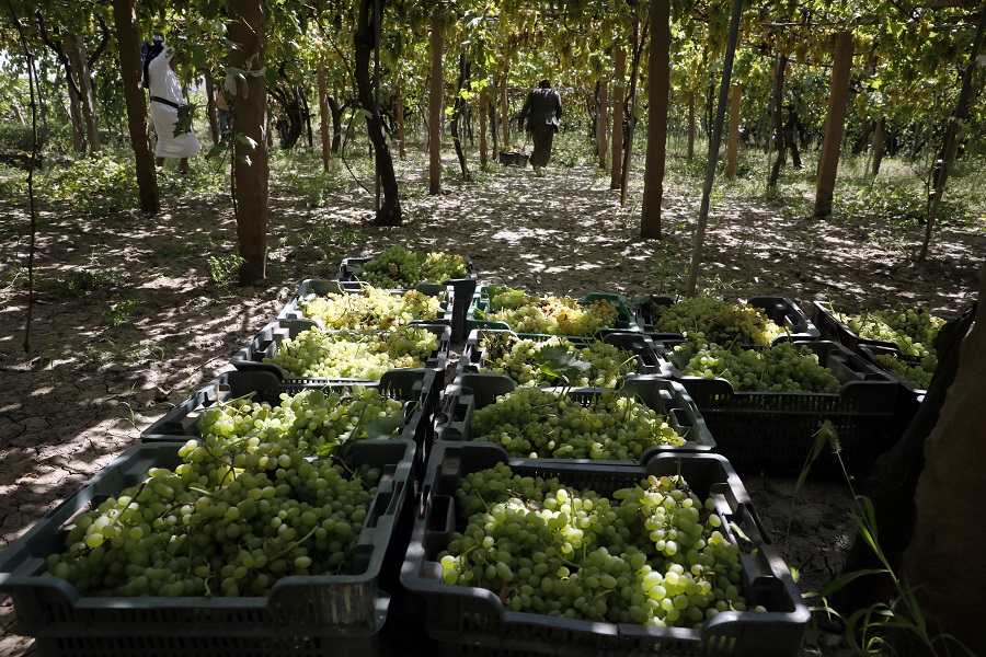 IC Photo(qun)ƷՈD(zhun)d