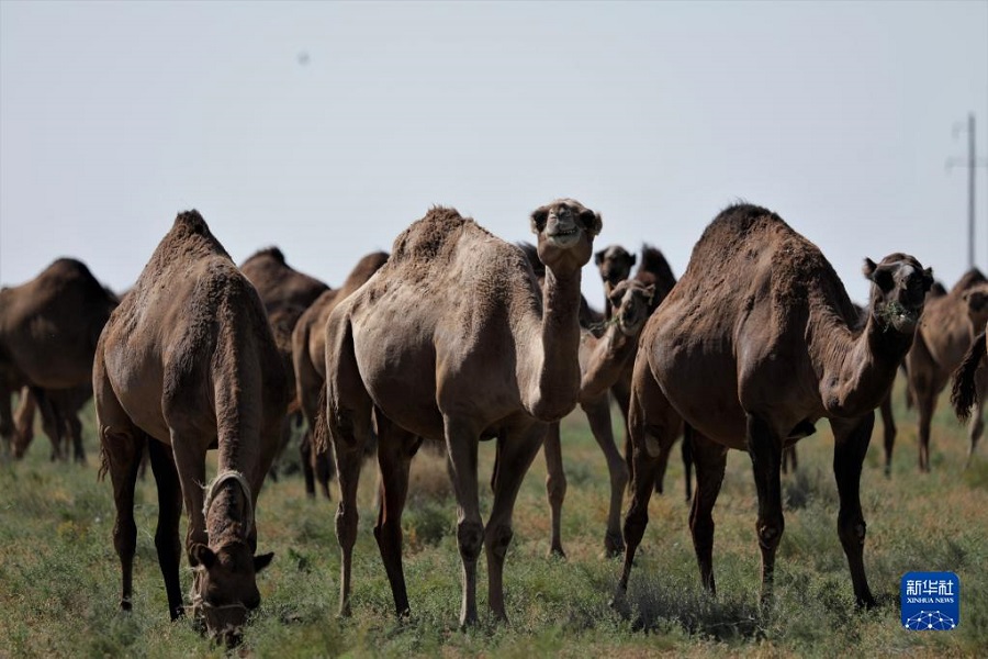 @813ڹ_˹̹ϲЈD˹̹Ĕzc_˹̹񄼯F޹˾_չB(yng)ֳȺAl(f)W˹Z z