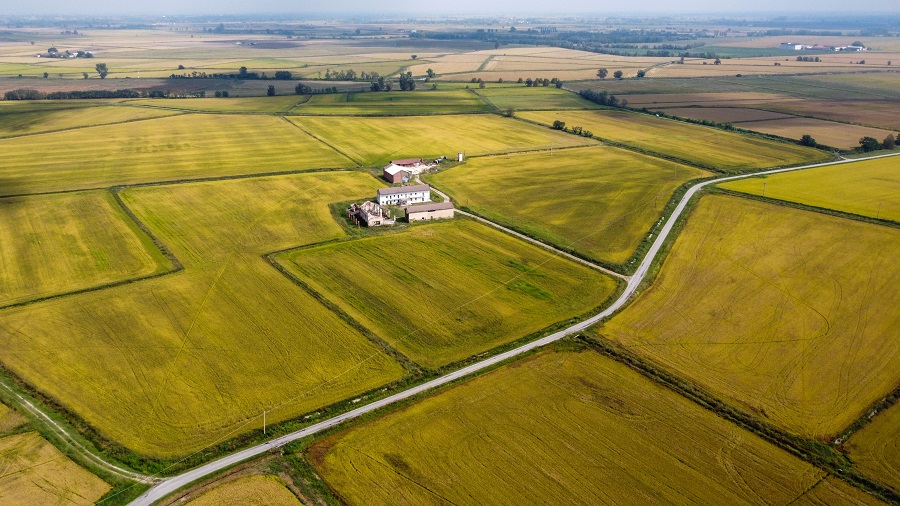 IC Photo(qun)ƷՈD(zhun)d