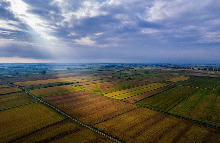 IC Photo(qun)ƷՈ(qng)D(zhun)d