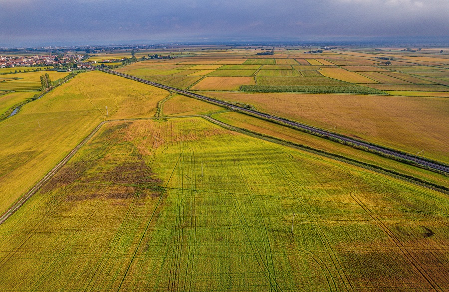 IC Photo(qun)ƷՈ(qng)D(zhun)d