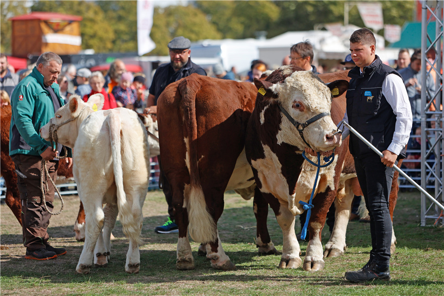 ICPhoto(qun)ƷՈD(zhun)d