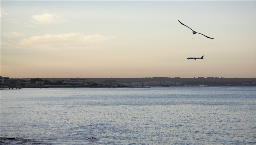 ICPhoto(qun)ƷՈD(zhun)d