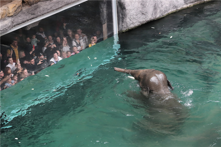 ICPhoto(qun)ƷՈD(zhun)d