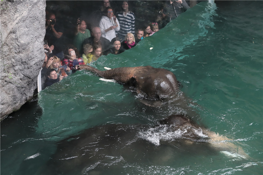 ICPhoto(qun)ƷՈD(zhun)d