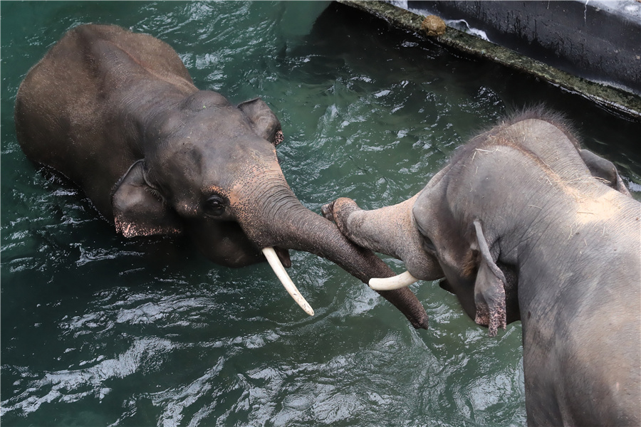 ICPhoto(qun)ƷՈ(qng)D(zhun)d