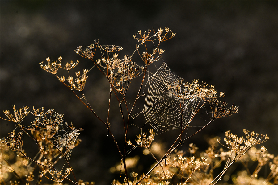 ICPhoto(qun)ƷՈ(qng)D(zhun)d