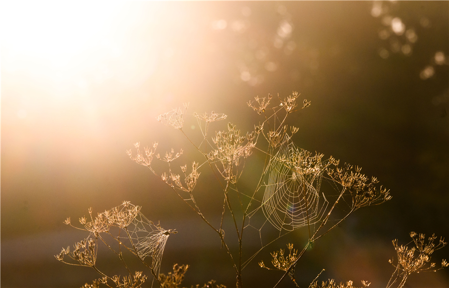 ICPhoto(qun)ƷՈD(zhun)d